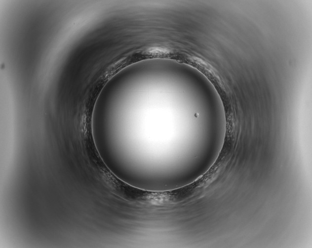 X0000096410762200801241220