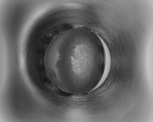 X0000096410763200801241220