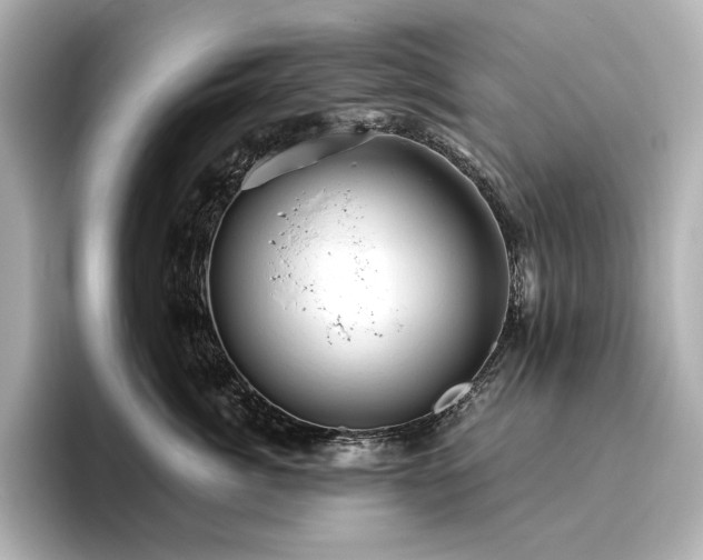 X0000096410764200801241220