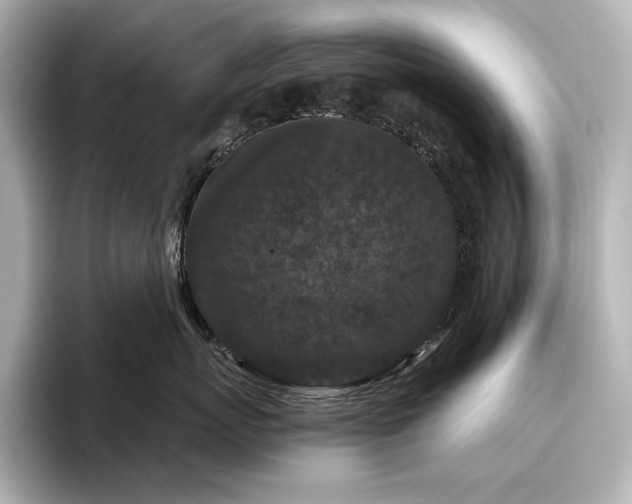 X0000096410767200801241220