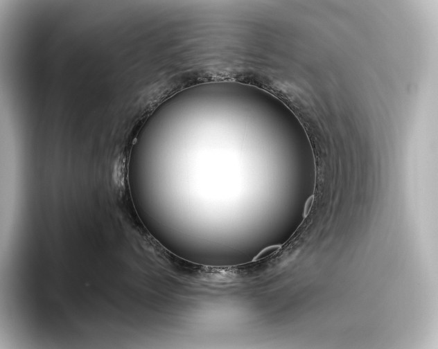X0000096410768200801241220