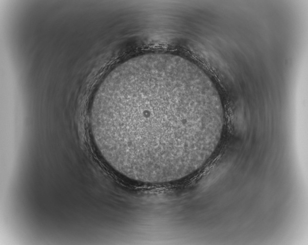 X0000096410769200801241220