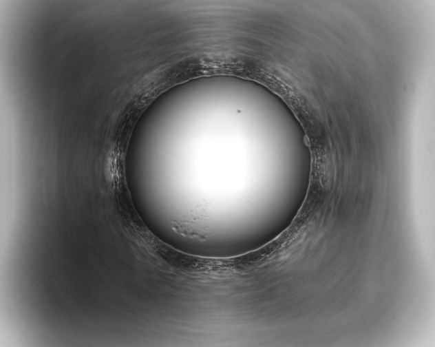 X0000096410770200801241220