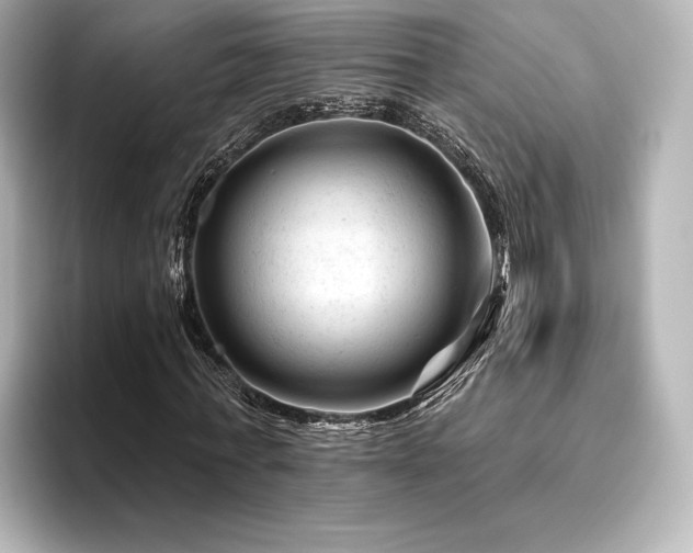 X0000096410771200801241220