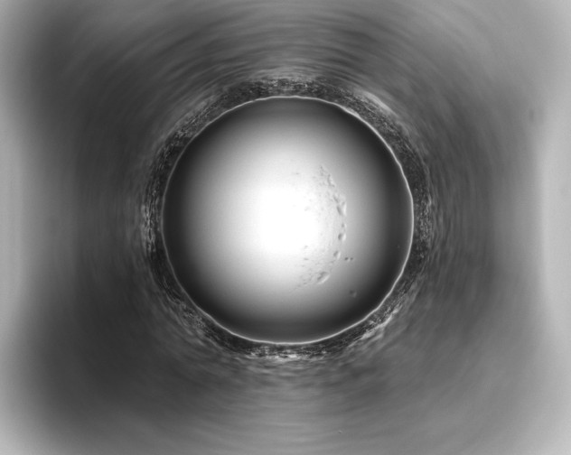 X0000096410774200801241220