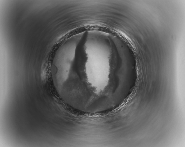 X0000096410775200801241220