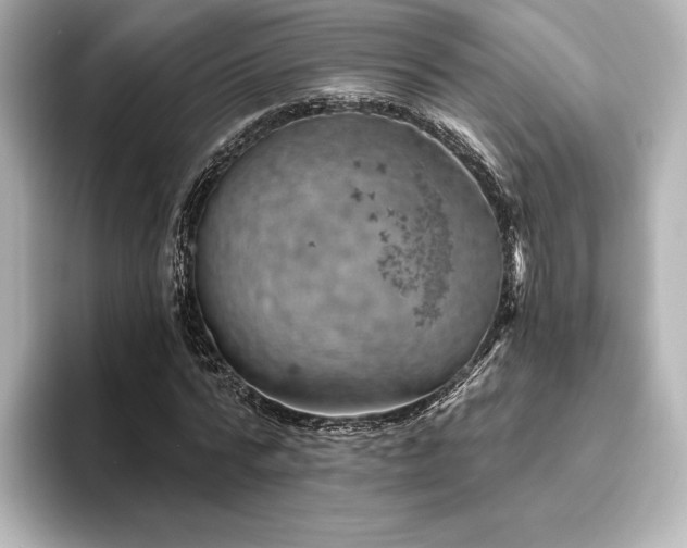 X0000096410776200801241220