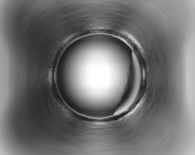 X0000096410777200801241220