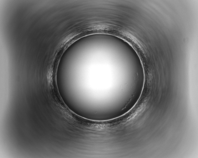 X0000096410778200801241220