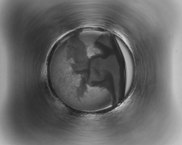 X0000096410779200801241220