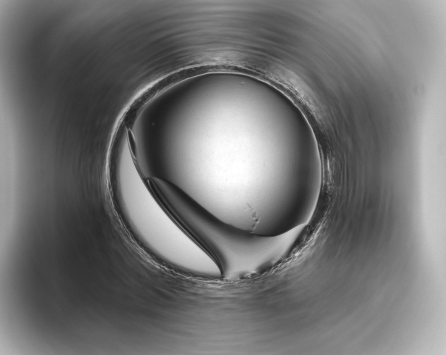 X0000096410780200801241220