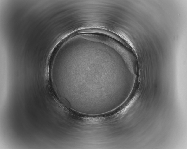 X0000096410781200801241220