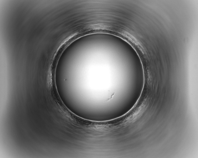 X0000096410782200801241220