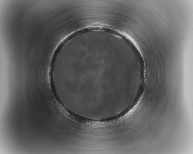 X0000096410783200801241220