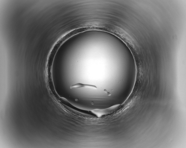 X0000096410784200801241220