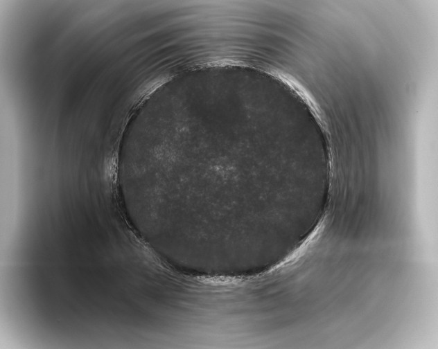 X0000096410785200801241220
