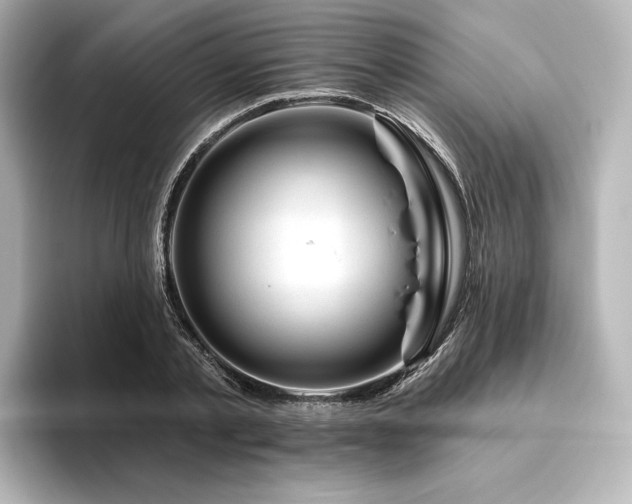 X0000096410789200801241220