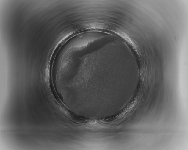 X0000096410790200801241220