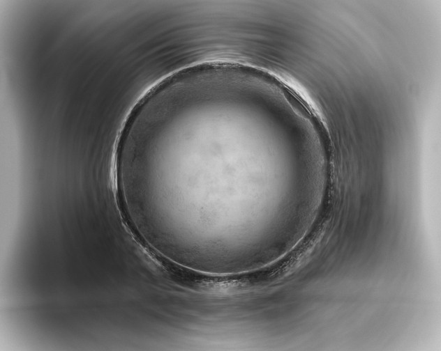 X0000096410791200801241220