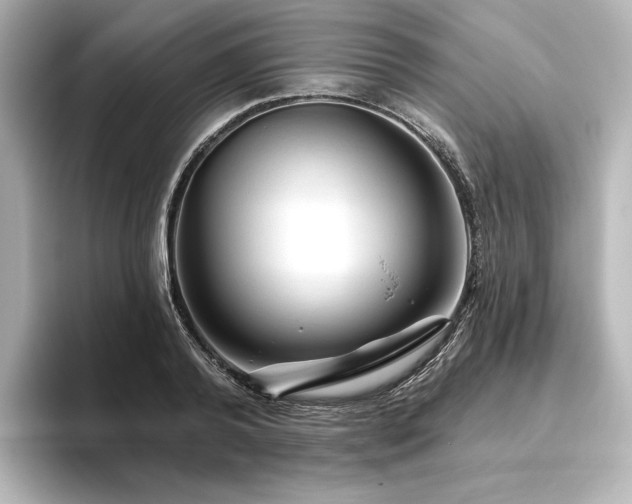 X0000096410792200801241220