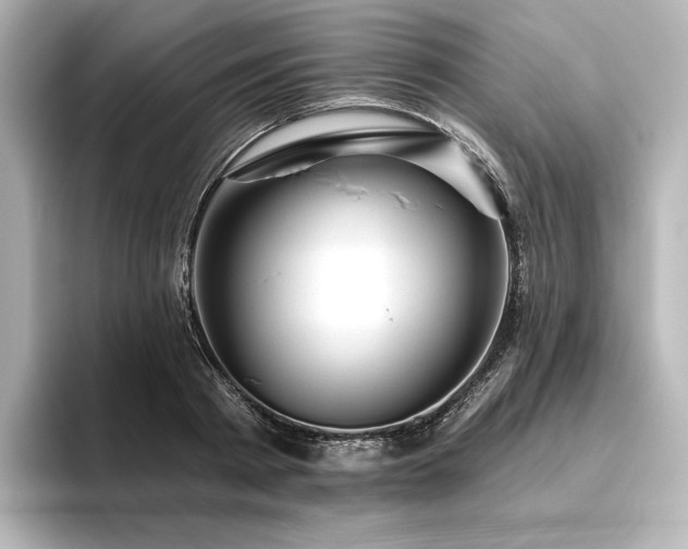X0000096410793200801241220