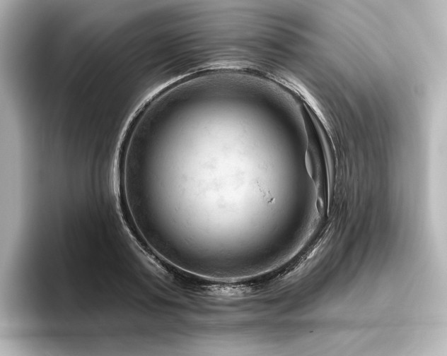 X0000096410795200801241220