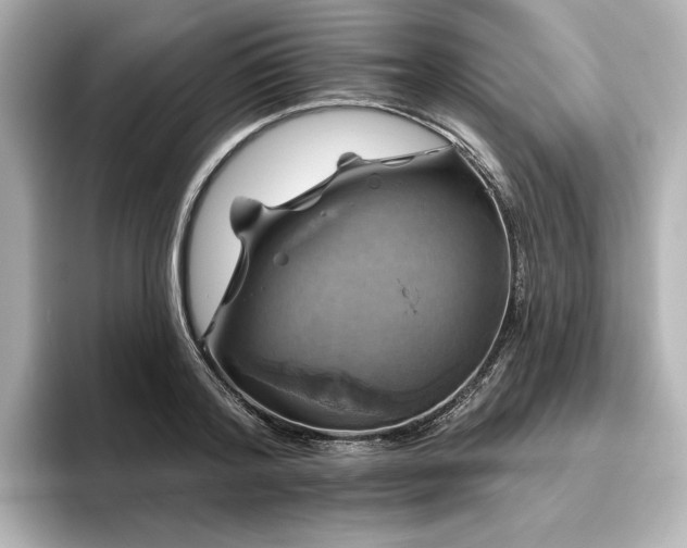 X0000096410796200801241220