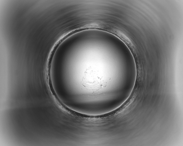 X0000096410800200801241219