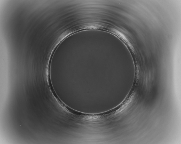 X0000096410802200801241219