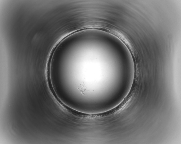 X0000096410803200801241219
