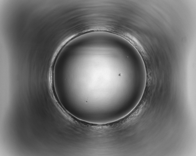 X0000096410804200801241219