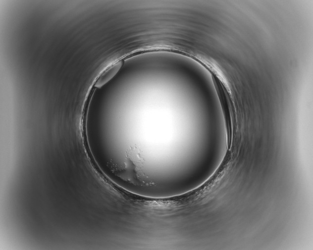 X0000096410805200801241219