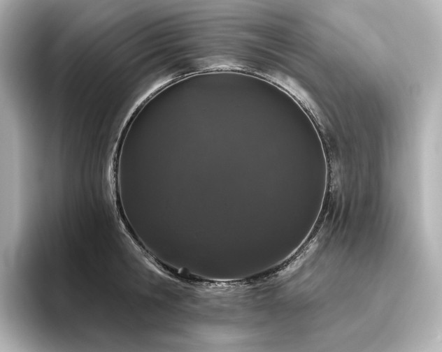 X0000096410806200801241219