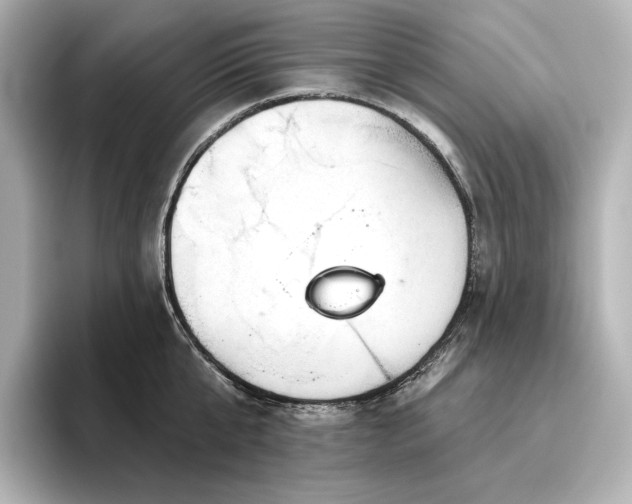 X0000096410807200801241219