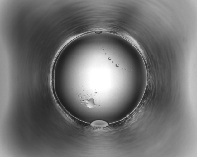 X0000096410811200801241219