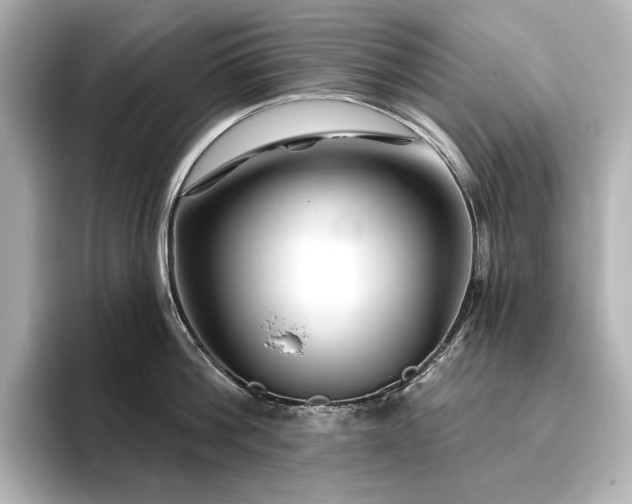 X0000096410812200801241219