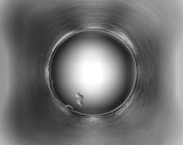 X0000096410814200801241219