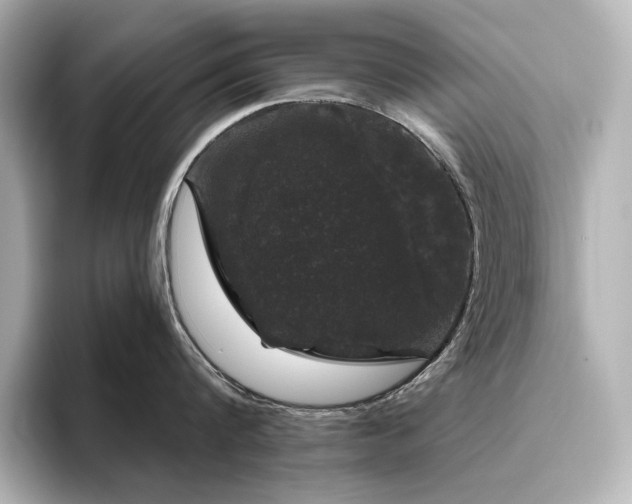 X0000096410816200801241219