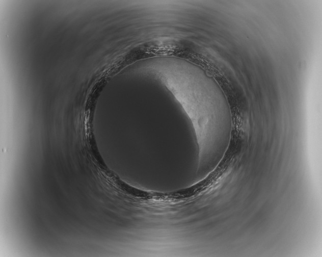 X0000096410818200801241219