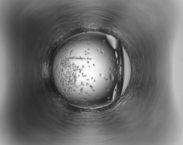 X0000096410819200801241219