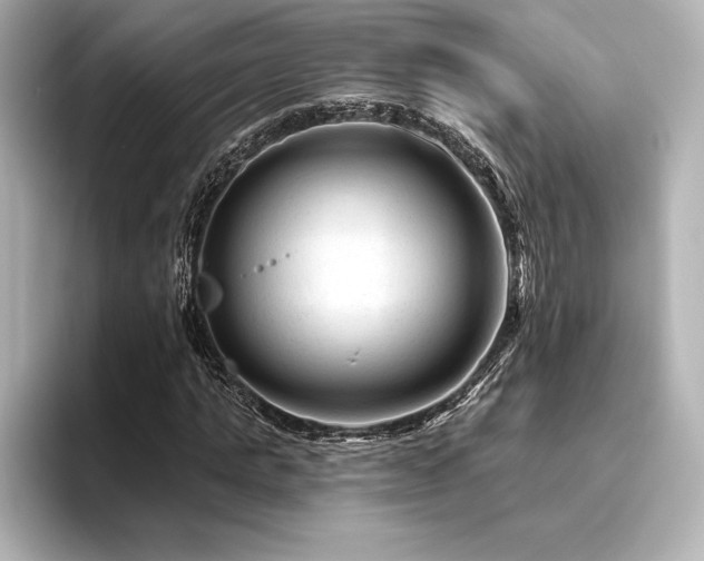 X0000096410821200801241219