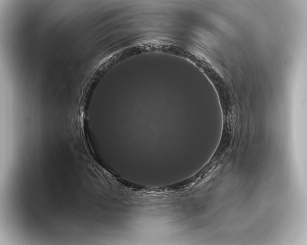 X0000096410822200801241219