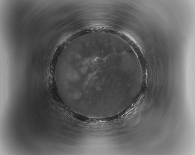 X0000096410823200801241219