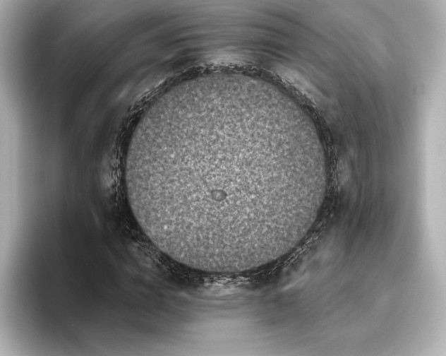 X0000096410824200801241219