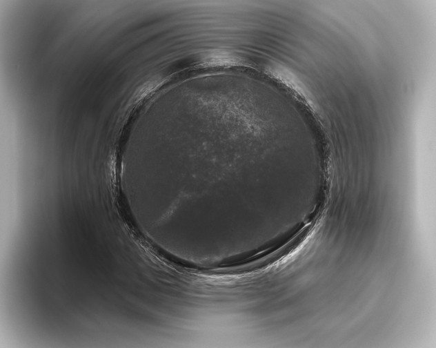 X0000096410825200801241219