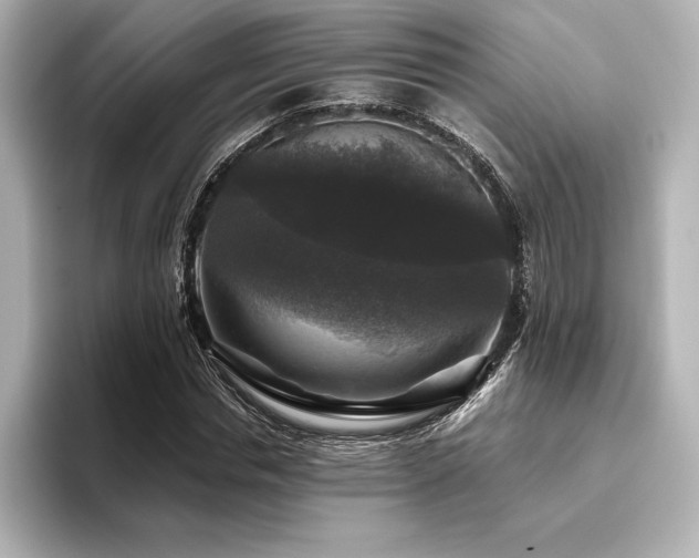 X0000096410826200801241219