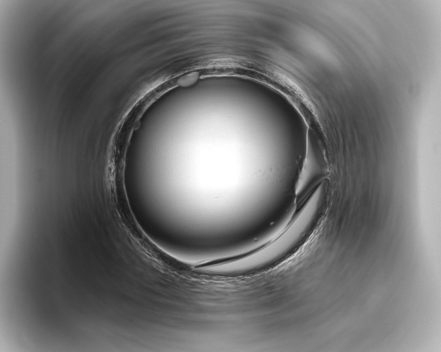 X0000096410827200801241219