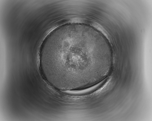 X0000096410829200801241219