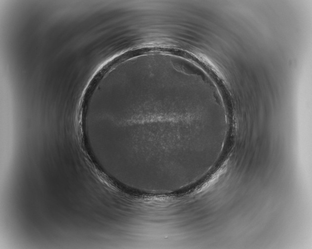 X0000096410830200801241219