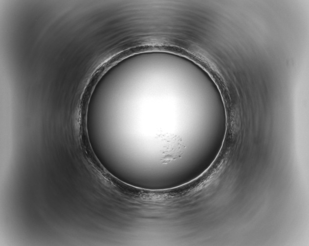 X0000096410831200801241219